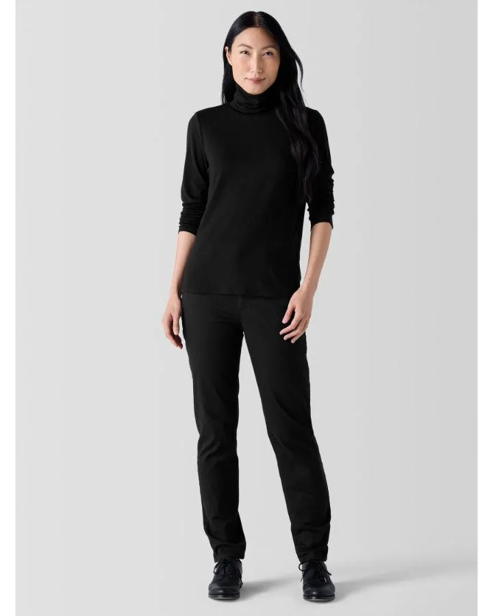 Eileen Fisher Sheer Knit Turtleneck Top